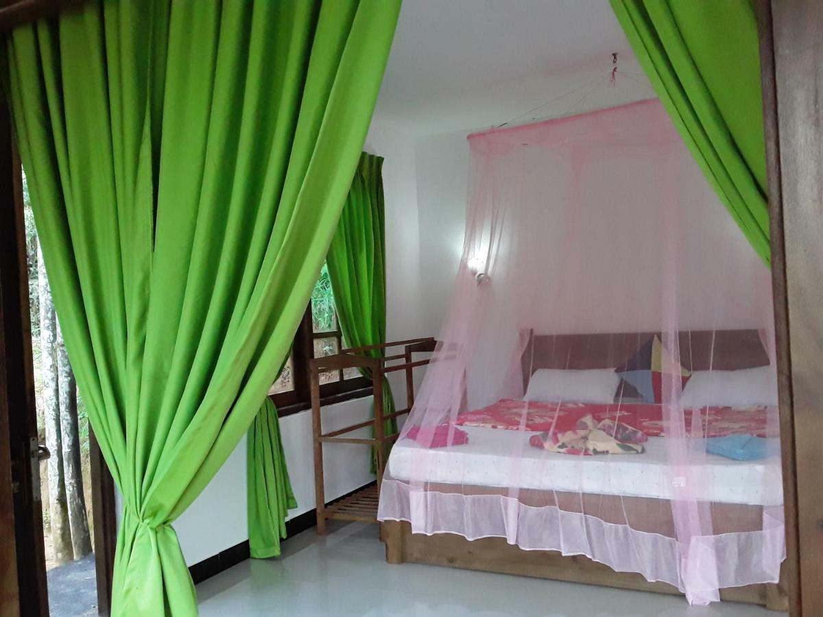 Nine Arch Araliya Homestay Ella Exterior foto